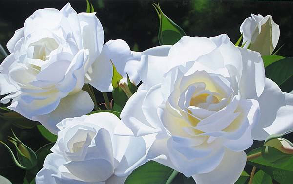 types of flowers for corsages White Garden Roses | 600 x 378