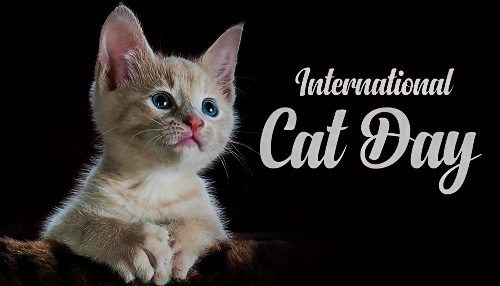 world cat day date