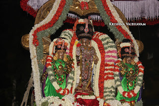 Thiruvallikeni,Triplicane,  Sri Gajendra Varadharajar Perumal, Sri Parthasarathy Perumal,Venkata Krishna , 2017, Video, Divya Prabhandam,Utsavam,Dhavana Utsavam