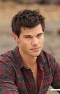 Taylor Lautner image