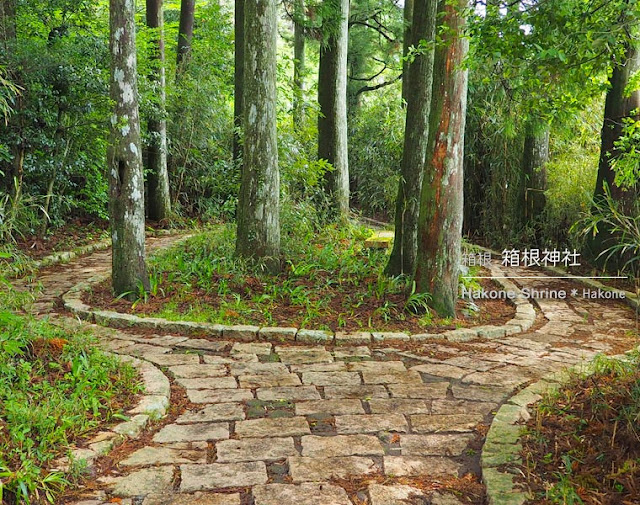 箱根神社：遊歩道