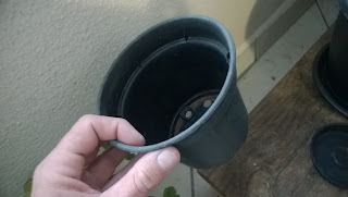 Como plantar hortaliças em vasos - Passo a Passo