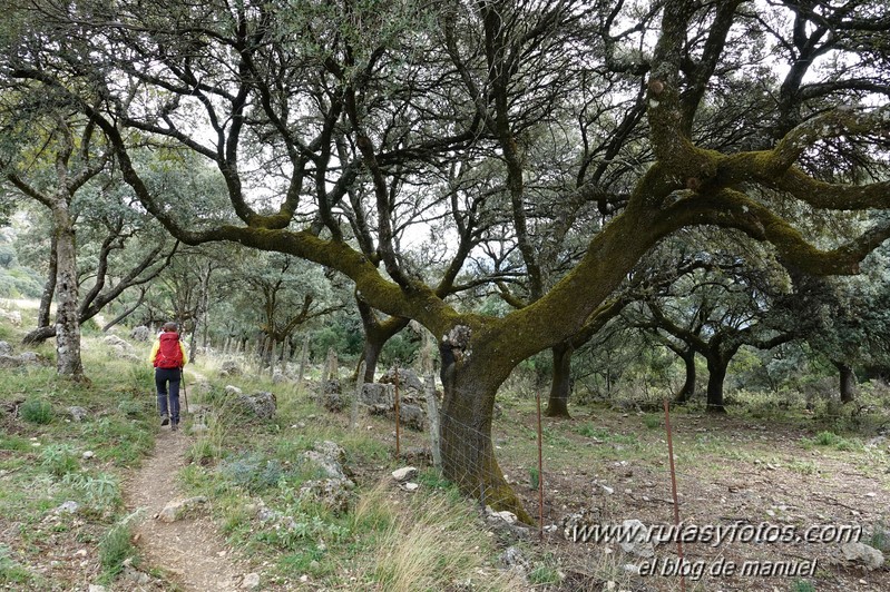 Sendero El Bosque - Benamahoma - Grazalema