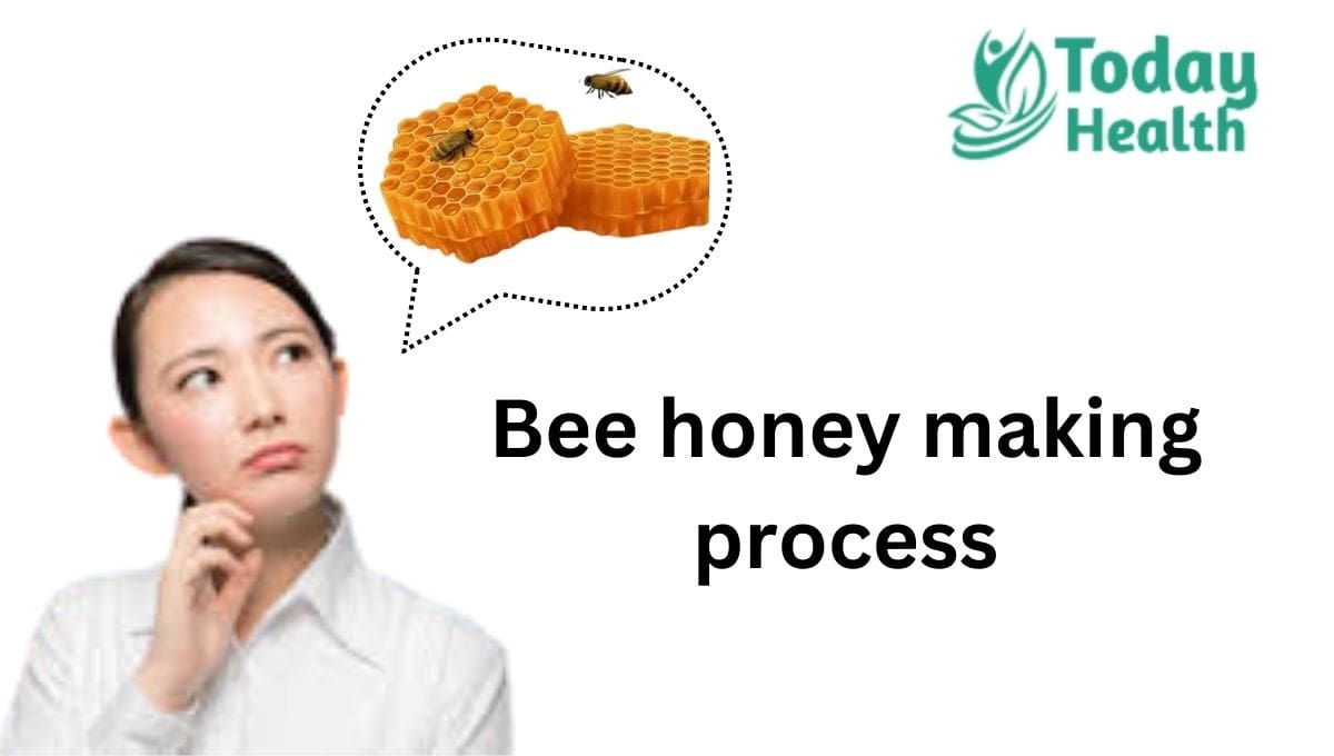 Bee honey making process
