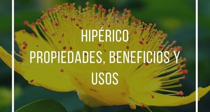 PROPIEDADES, BENEFICIOS Y USOS DEL HIPÉRICO