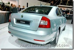 skoda_new_octavia_back