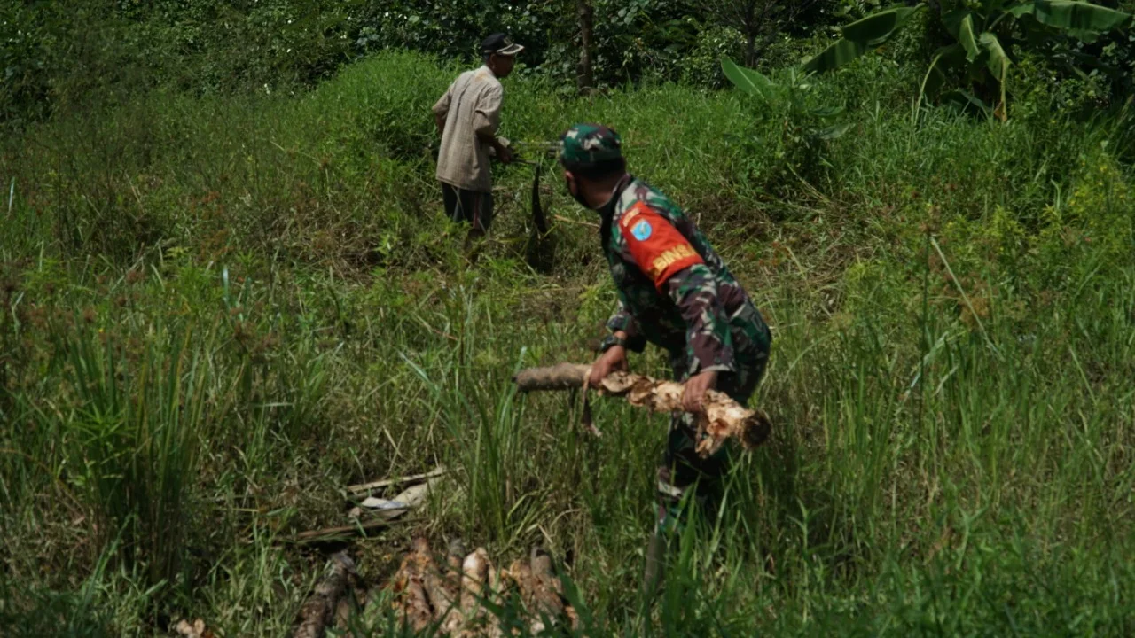 Serda Taufik dan Kades Saka Lagun Ambil Kayu Lagam