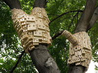 Bird Housing