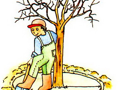 [最も好ましい] 樹木 肥料 210784-樹木 肥料 寒肥