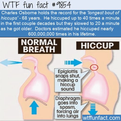 Interesting Random WTF Facts