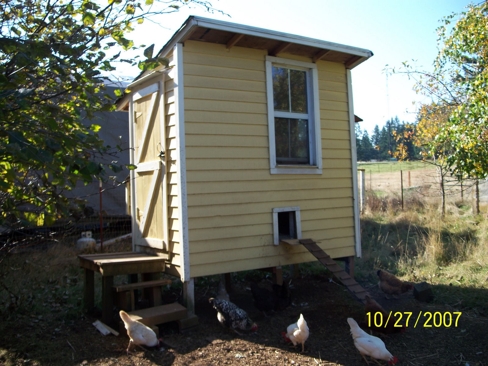 CHICKEN COOP DESIGNS