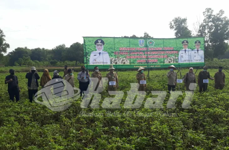 Kadistan Jatim Bersama Wabup Pamekasan Panen Kacang Tanah