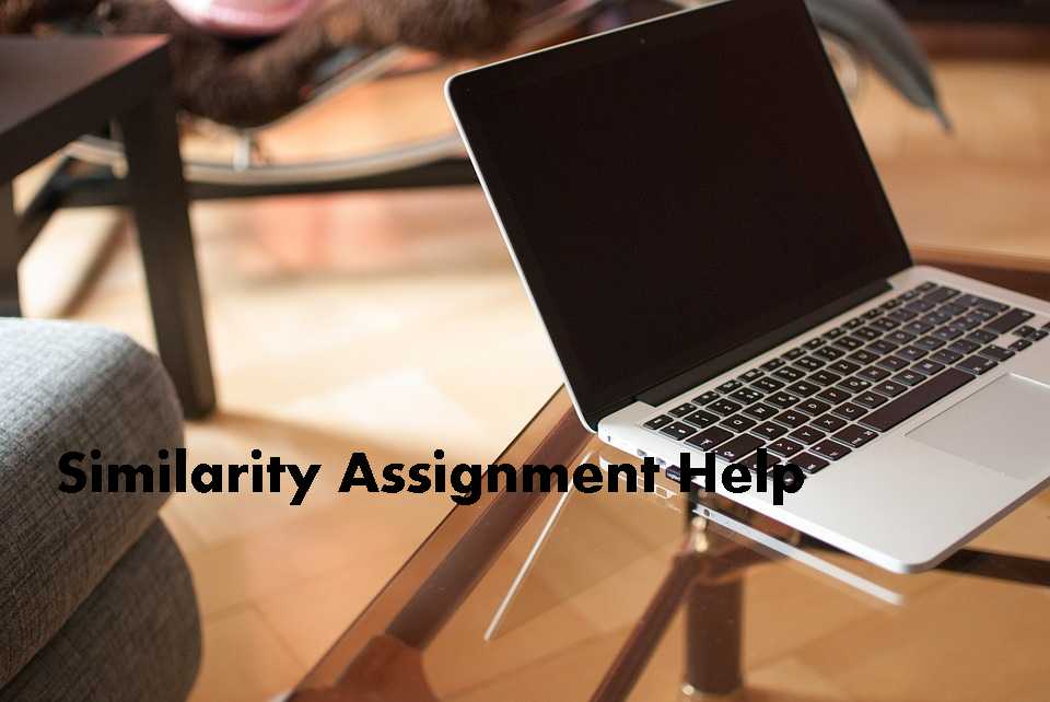 Business Statistics Assignment Help