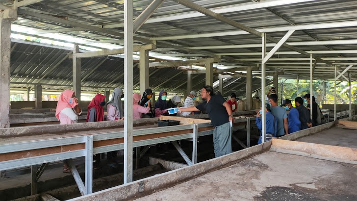 Warga Banyakan Dapat Bantuan Stimulan Saat Kunjungi Pusat Budidaya Maggot Di Sleman