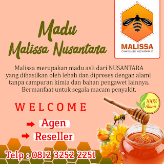 Perbedaan Madu Asli Dengan Madu Palsu | by Malissa Nusantara | 0812 3252 2251
