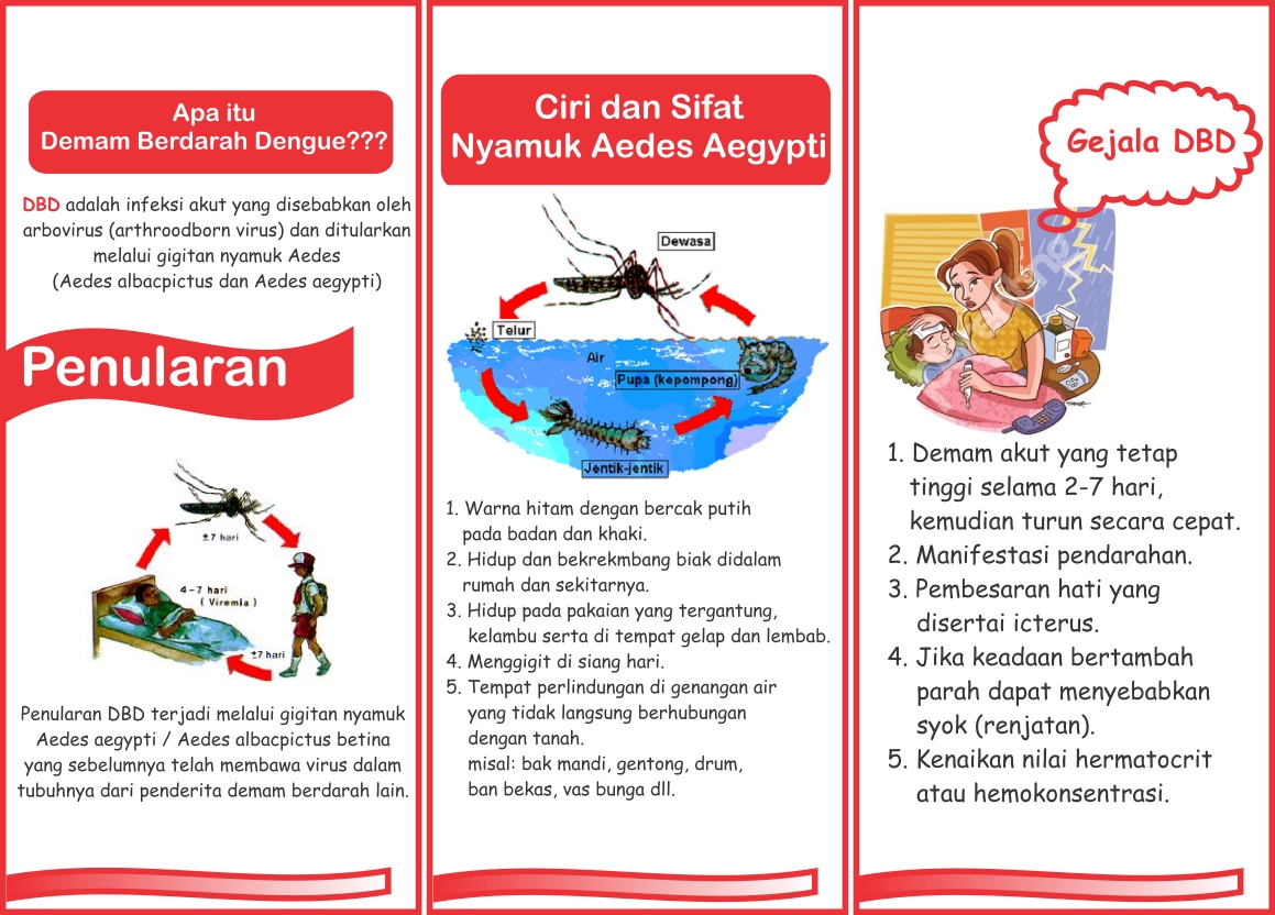 Serat Kemuning: Leaflet Penyuluhan Pencegahan Demam Berdarah