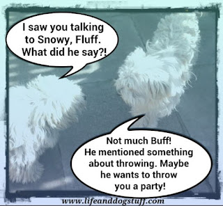 Buffy and Fluffy talking.