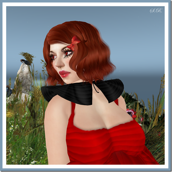 Pacadi11_001b