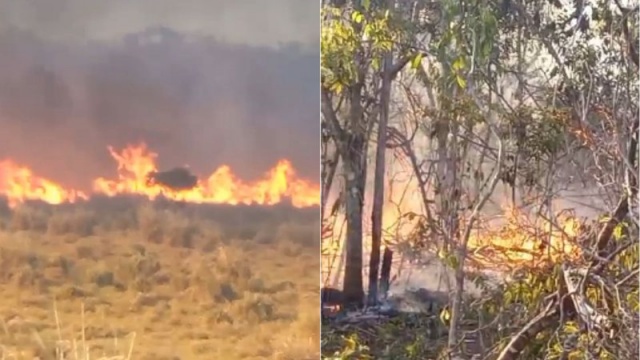 Incêndio florestal de grandes proporções atinge região do Jequitibá