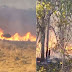 Incêndio florestal de grandes proporções na região de Jequitibá, Mundo Novo e Ruy Barbosa