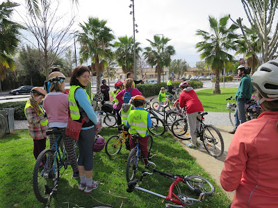 En bici al sorolla, árboles monumentales