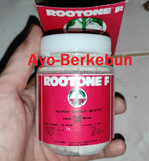 root one f