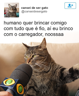 Foto. Na caixa de uma rede social. No canto superior esquerdo a pequena foto de frente do peito para cima de um gato de pelagem cinza com algumas listras pretas verticais na cabeça e horizontais ao longo do corpo, à direita lê-se: cansei de ser gato; e abaixo: arrobacanseidesergato. Abaixo, um microfone preto com a logomarca do canal de TV em frente e bem próximo à boca do bichano entre os longos bigodes brancos dele. Acima lê-se: humano quer brincar comigo com tudo que é fio, aí eu brinco com o carregador, noossaa.