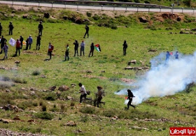 Brasileiros e palestinos são atacados por Israel em Nabi Saleh