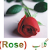 Arq-e-Gulab Benefits In Urdu Rose Water  For Skin How To Make Rose Water At Home In Urdu