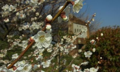 20140315_093127