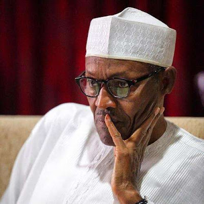 STOP CRYING LIKE A BABY!! FIX NIGERIA ECONOMY BUHARI PDP TELLS BUHARI