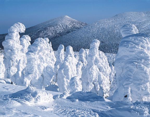 monstros de neve no japão árvores