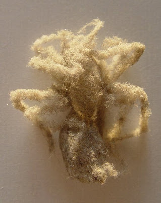 Sculptures made from dust Seen On www.coolpicturegallery.net