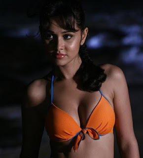 Nisha kothari Bollywood actress pictures wllpepar free download