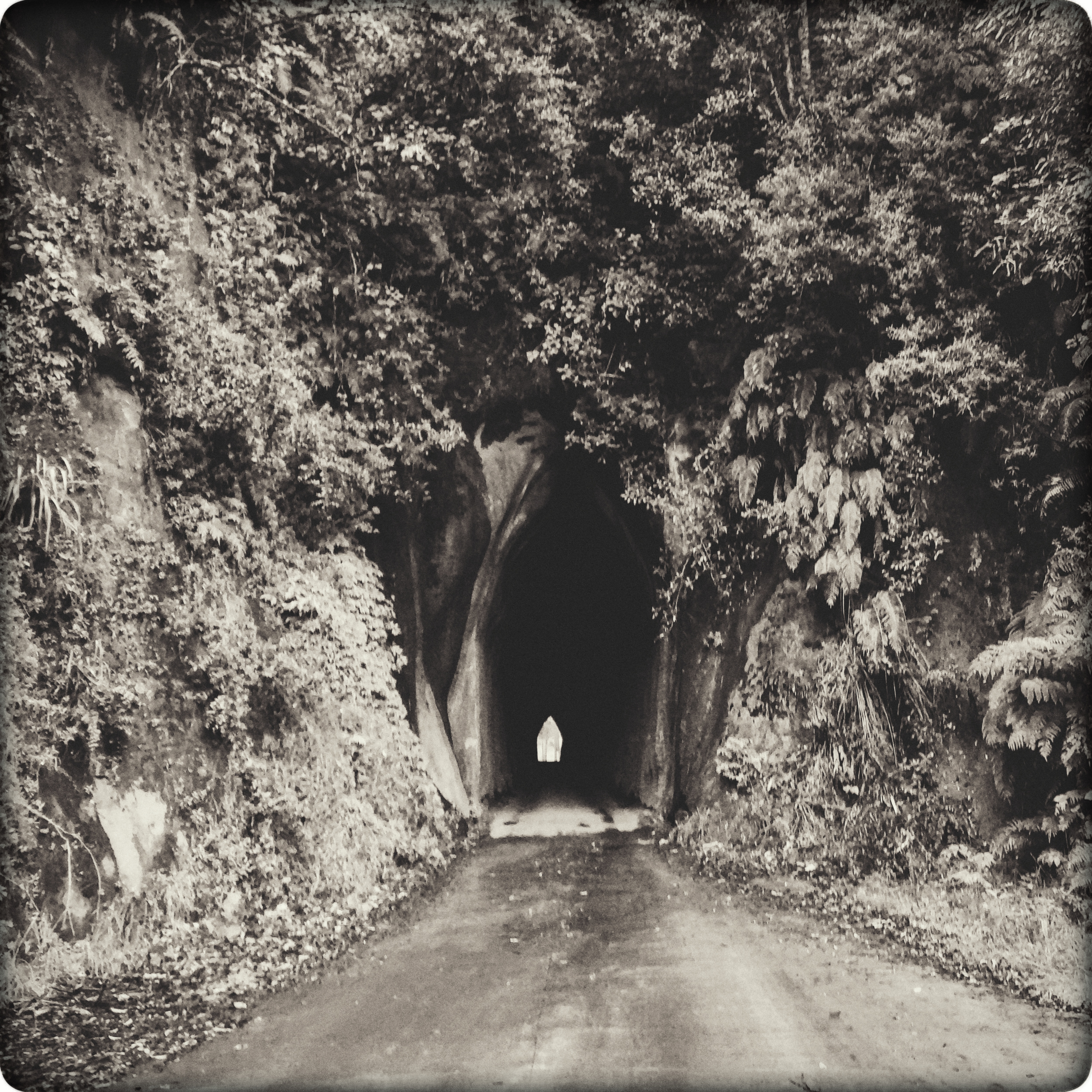 Kiore Tunnel (Taranaki) entrance in black and white