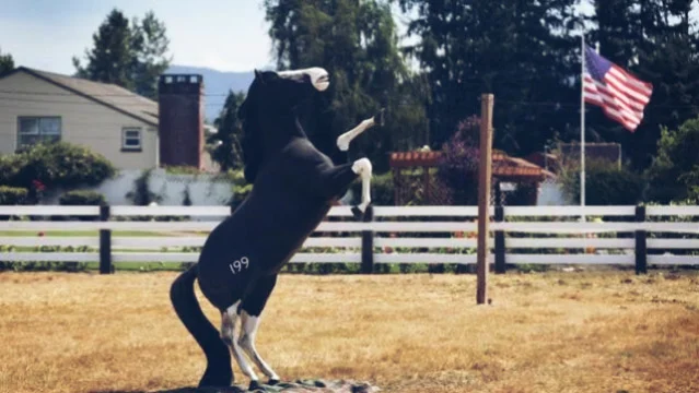 MR HANDS VIDEO LINK | AKA 2 GUYS 1 HORSE VIRAL VIDEO | THE BIZARRE DE@TH OF KENNETH PINYAN