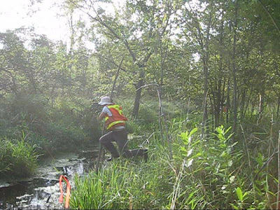 trying to pole vault a river in the forest