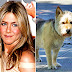 Jennifer Aniston - Norman