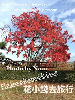 osaka red leaves