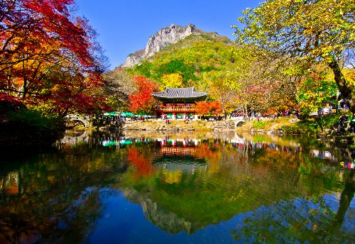 Cảnh đẹp Hàn Quốc 4 mùa