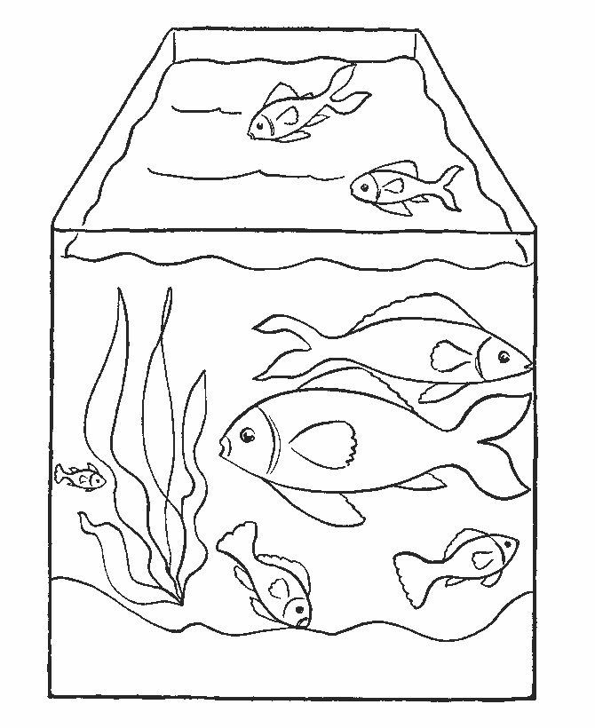 42+ Sketsa Gambar Ikan Dalam Aquarium