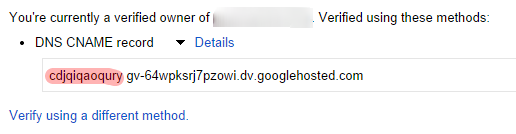 DNS verification details google webmaster tools for domain ownership