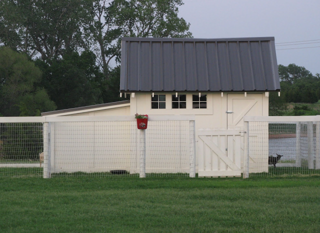 Homestead Revival: Planning The Goat Barn