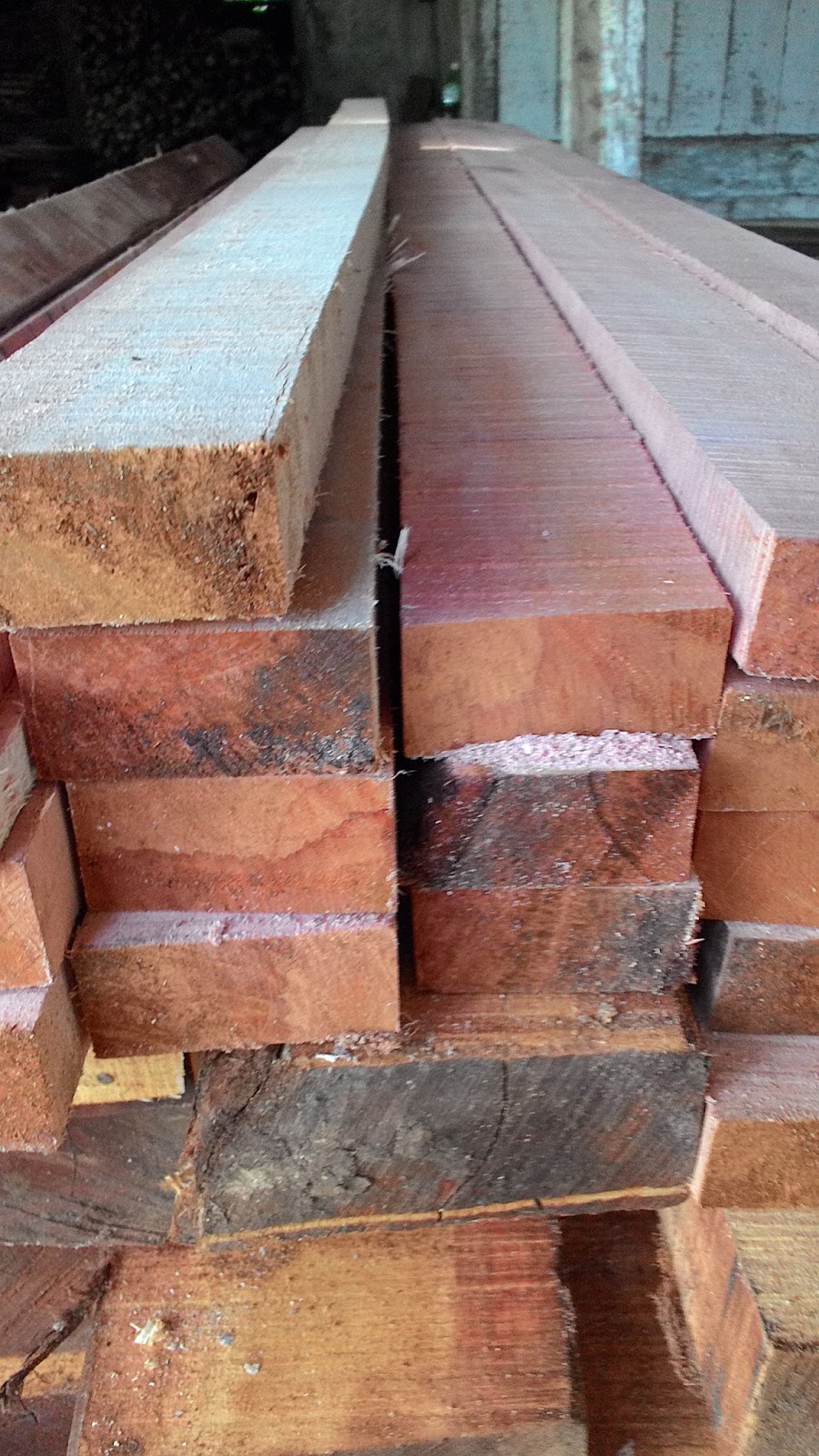 Harga Kayu  Merbau 2013 DUTA RIMBA  INDONESIA