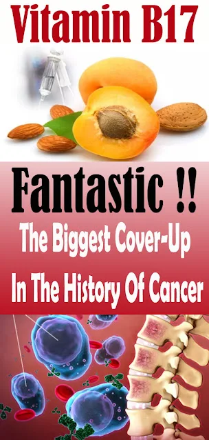 Supplement B17: The Biggest Cover-Up In The History Of Cancer