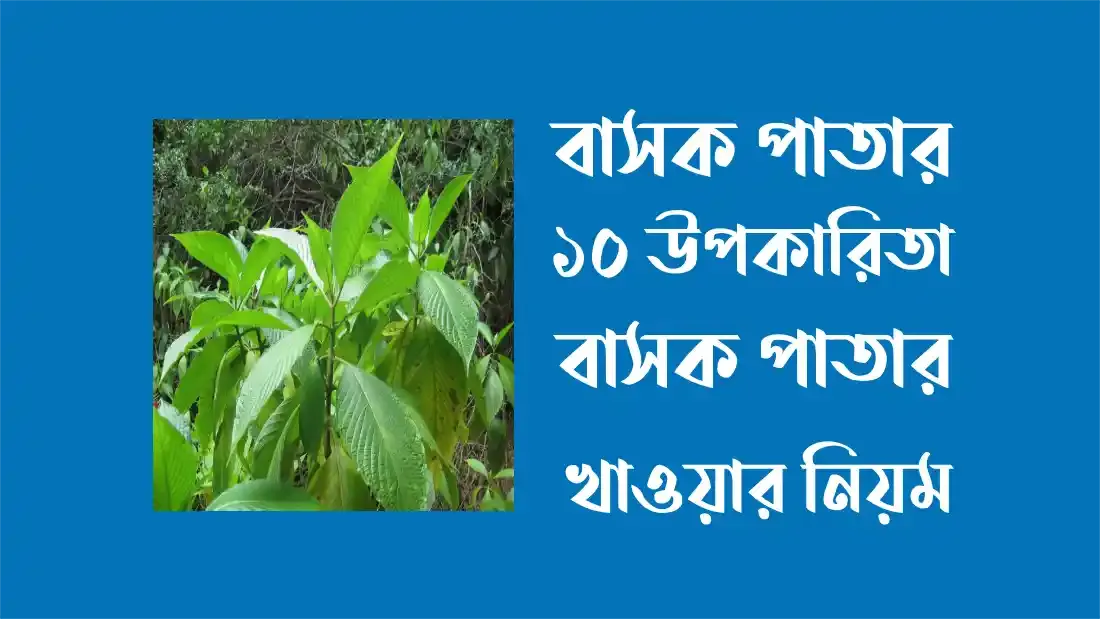 বাসক পাতার ১০ টি উপকারিতা