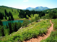 wasatch