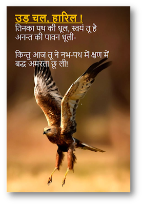 agyey_Ud_chal_haril_hindi_poem