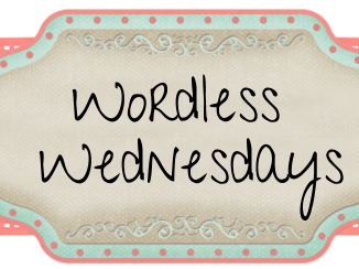 Wordless Wednesdays: Daddy Time