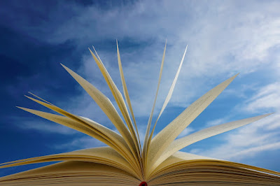 Fotografía tomada desde abajo de un libro con las páginas abiertas y con un cielo azul de fondo con algunas nubes claras.